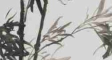 人社部技能鉴定中心违法违规面面观(图文)